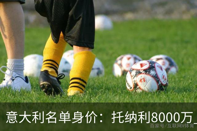 意大利名单身价：托纳利8000万 巴斯托尼6500万 仅10人超过3千万